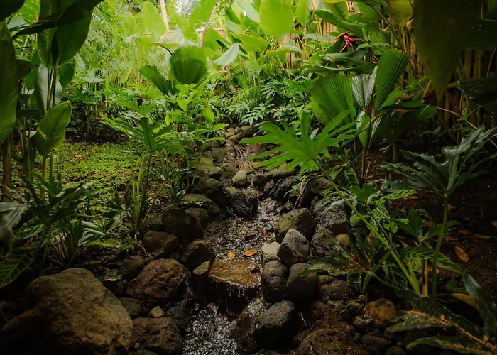 Atamendra Bali At