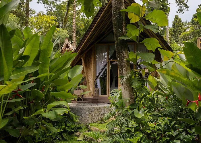 Atamendra Bali At *